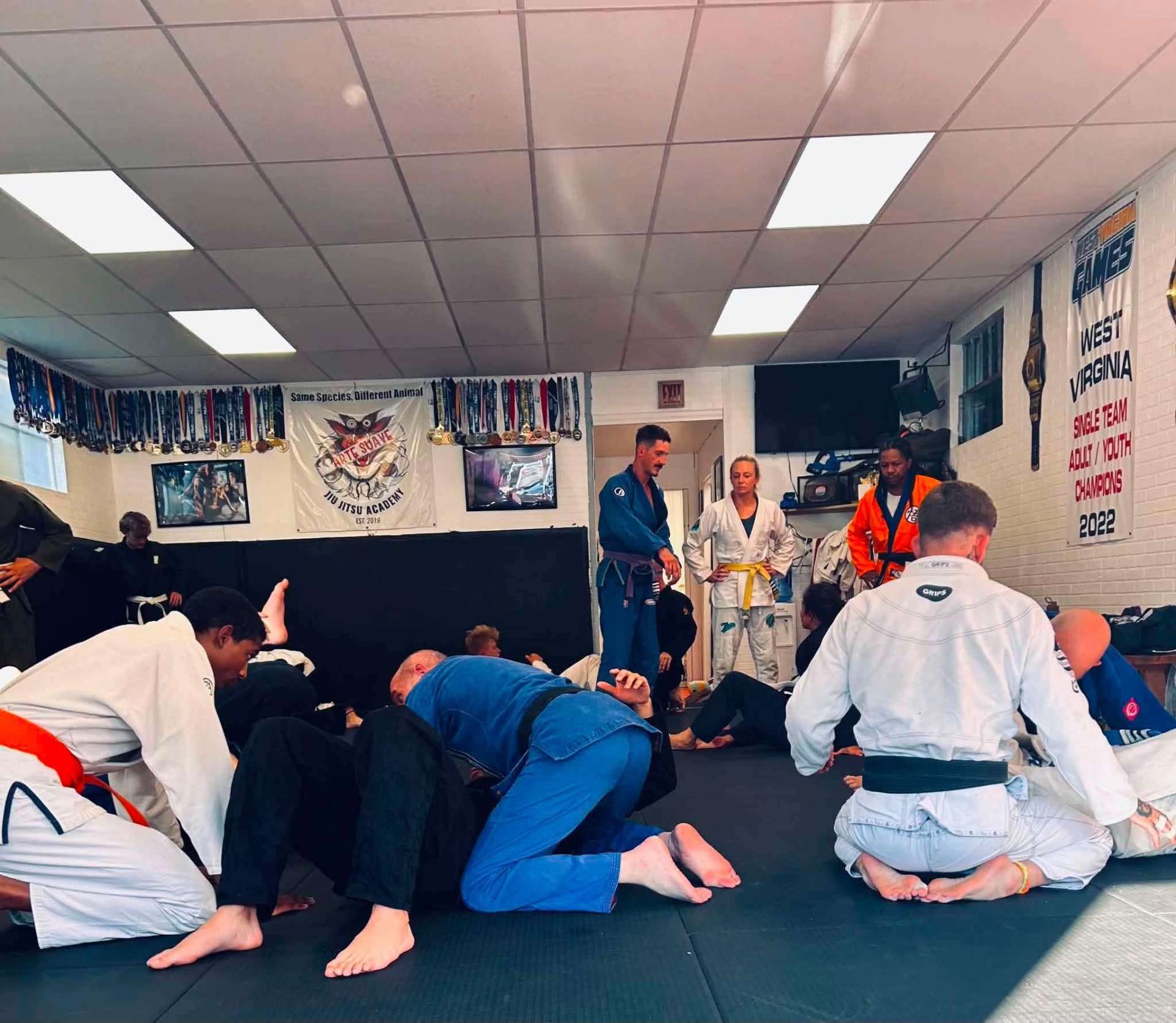 Positional sparring during class