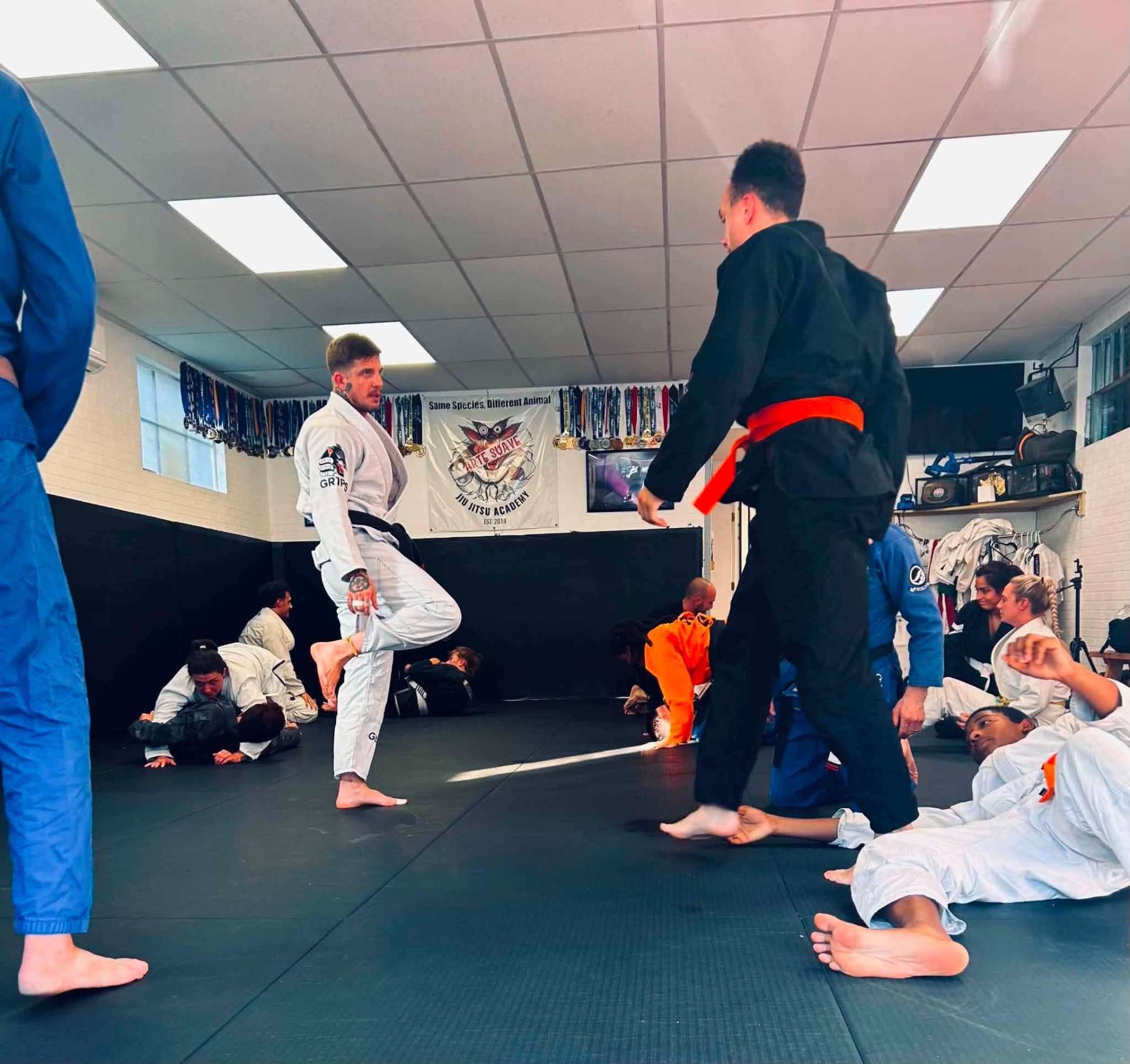 Live rolling and drilling on the mats